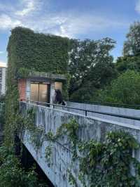 香港人世森林系咖啡館，絕對保密秘密