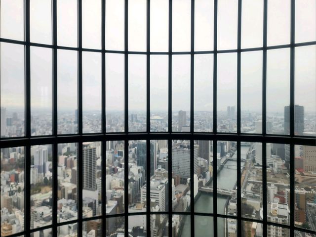 40 Sky Bar & Lounge (コンラッド大阪 40 スカイバー＆ラウンジ) 딸기 애프터눈티