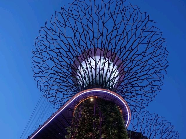 Gardens by the Bay.