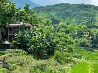 Pu Luong Nature Reserve (Thanh Hoa)