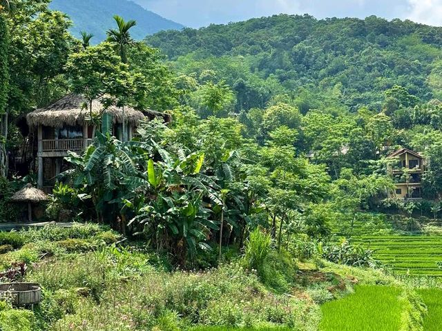 Pu Luong Nature Reserve (Thanh Hoa)
