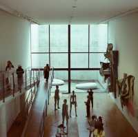 เที่ยวเกาะศิลปะ Naoshima & Teshima ผ่านกล้องฟิล์ม
