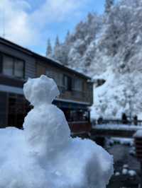 ❄️藏在雪國的白銀秘境｜山形銀山溫泉・白銀瀑布