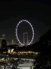 Neon Trees, Gardens by the Bay at Night