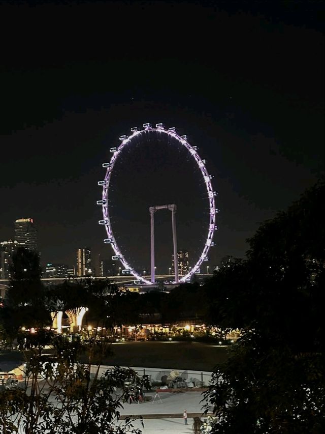 Neon Trees, Gardens by the Bay at Night