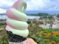 Flower Views and Fuji Skies – Oishi Park, Kawaguchiko