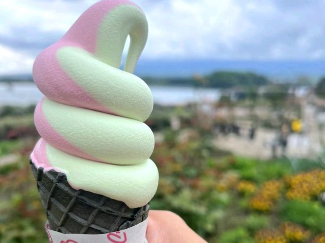 Flower Views and Fuji Skies – Oishi Park, Kawaguchiko