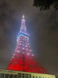 Tokyo - a beautiful city of contrasts 