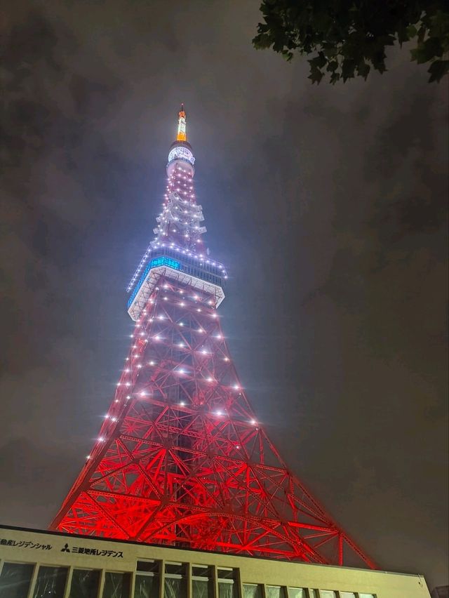 Tokyo - a beautiful city of contrasts 