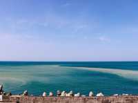 Yin-Yang Sea