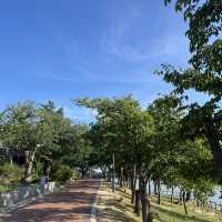 라한셀렉트 앞 산책코스💚 보문호 둘레길 야외데이트 추천