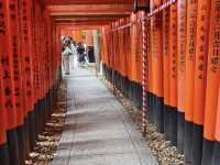 Japan Trip: Fushimi Inari, Uji & a Detour for Lucky Cats! 🇯🇵🐱