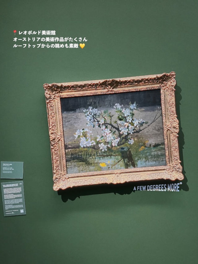 🇦🇹オーストリア｜ウィーンで味わう、音楽と芸術に包まれる優雅なひととき🎻☕️