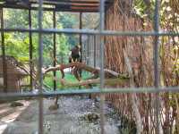 Kaliningrad Zoo