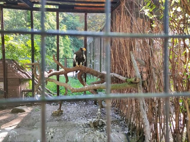 Kaliningrad Zoo