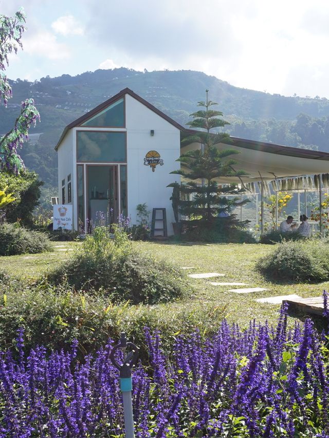 Chiang Mai on RM1.5K: 5 Days of Food & Flower Farm