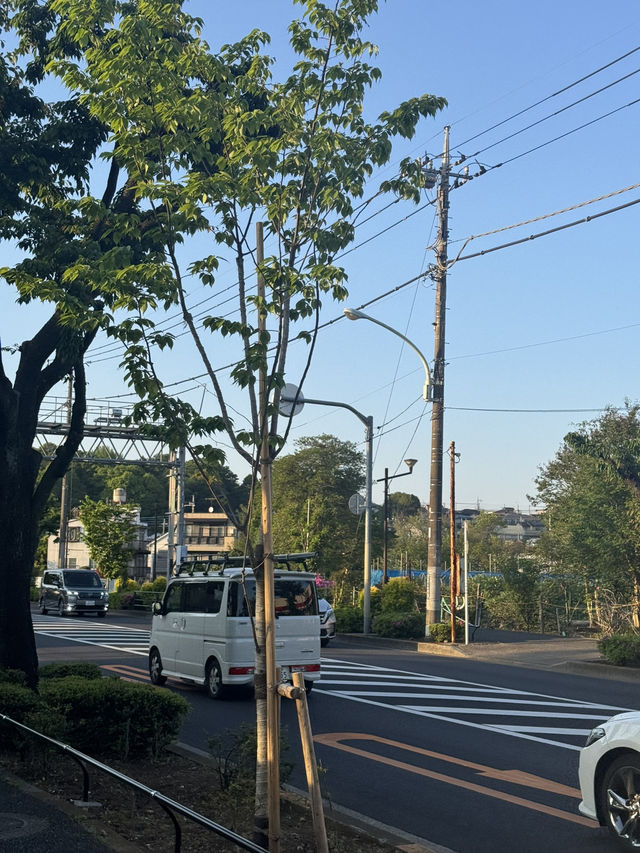 다녀오면 살찌는 TOKYO TRIP 