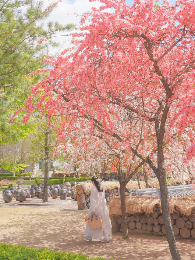 하늘 아래 천국이 있다면 바로 여기일거야🌸❤️