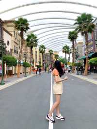 รีวิวUniversal Studios Singapore
