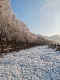 Jilin Rime: A Thousand Miles of Silver Frost (Morning Post Five-Star Marvel)