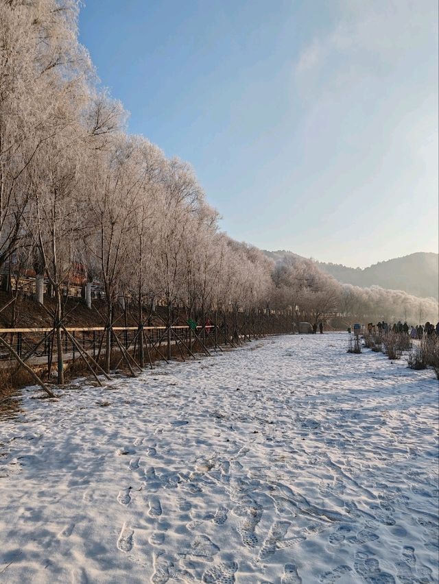Jilin Rime: A Thousand Miles of Silver Frost (Morning Post Five-Star Marvel)