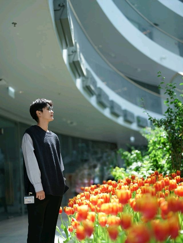 สวนดอกไม้เมืองหนาวระยอง