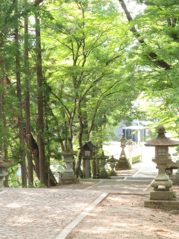 観光スポット紹介】岐阜県高山市 昔ながらの街並みを歩く | Trip.com
