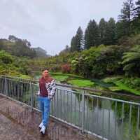 Te Waihou Walkway – New Zealand’s Hidden Gem of Crystal Waters 