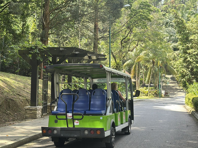 A Peaceful Escape at Perdana Botanical Park
