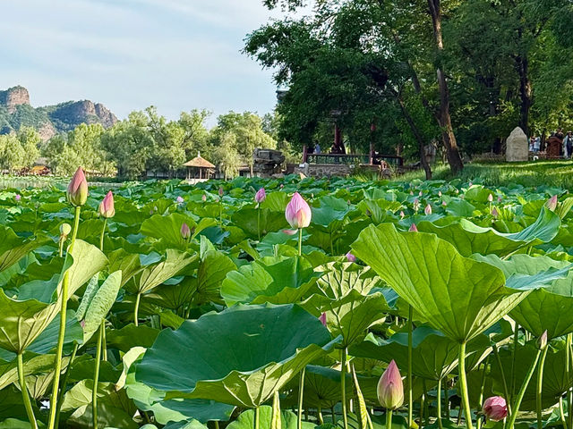 ⛰️ Chengde Mountain Resort: A Royal Summer Escape in Hebei! 👑