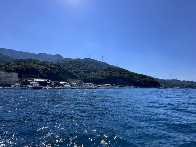 Mizushima island 