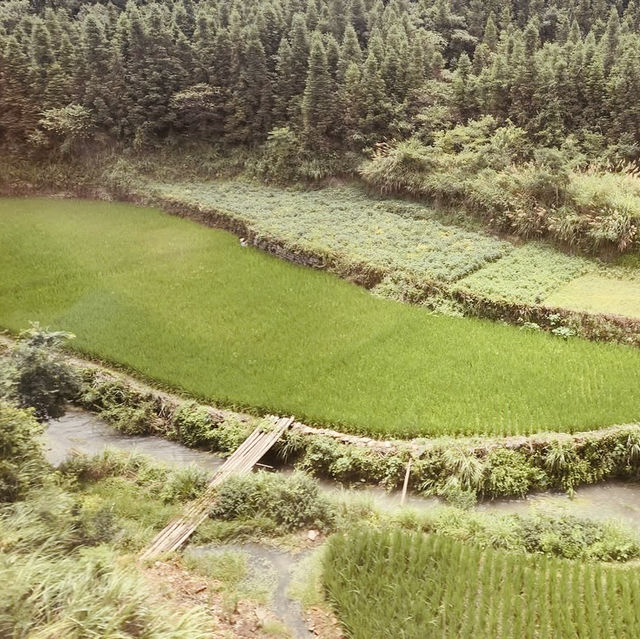 🚄✨ *Maglev to Fenghuang (凤凰磁浮观光快线): China’s Most Scenic Floating Train to an Ancient Town* 🏮🌉