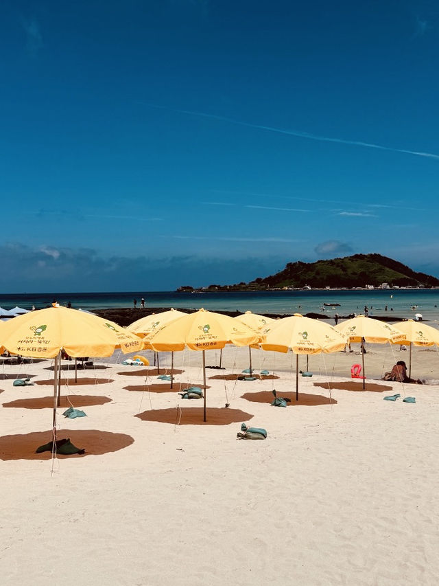 A Peaceful Haven for Local Coastal Exploration