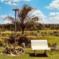 🌄 Let’s Go to Bukit Chabang – Perlis’ Hidden Hilltop Escape!