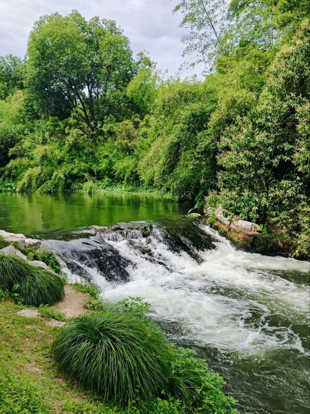 Bamboo Garden – Step into a Martial Arts Dream