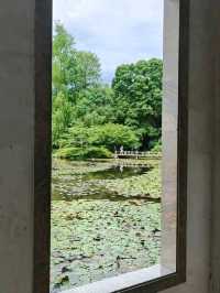 Summer’s Gentleness Lies Within the Lotus Petals