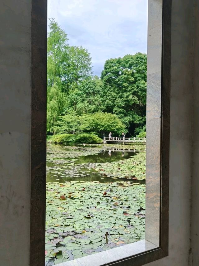 Summer’s Gentleness Lies Within the Lotus Petals