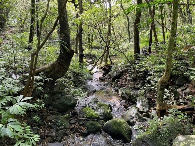 Wandering Through the Grassy Beauty of North Wuzhishan