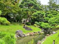 A Calm Break at Kyu-Shiba-rikyu Gardens