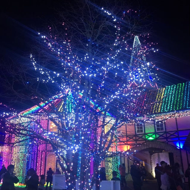 東京ドイツ村