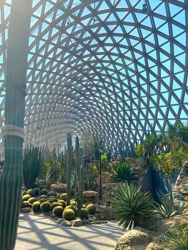 It's a cactus wonderland at Shanghai Botanical Gardens