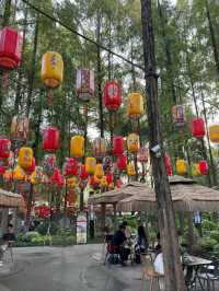 A Leisurely Day at Chengdu Renmin Park