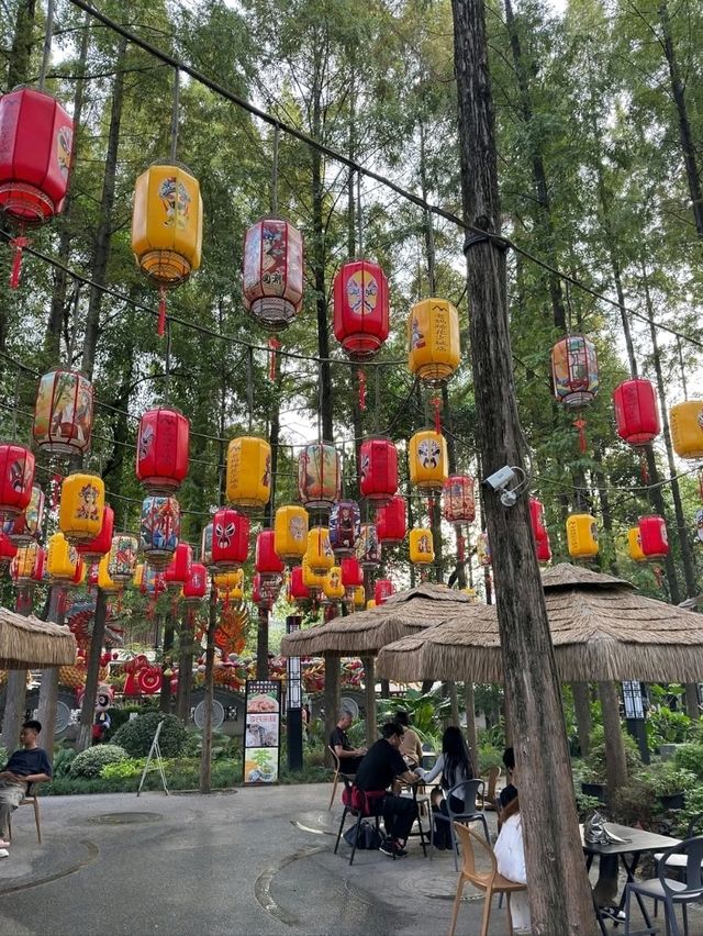 A Leisurely Day at Chengdu Renmin Park