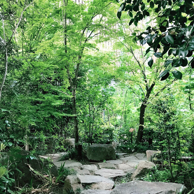 ⛩️日本橋: ビジネス街のまんなか当たる神社として知られる福徳神社芽吹稲荷 へ ⛩️日本橋: ビジネス街のまんなか当たる神社として知られる福徳神社芽吹稲荷 へ