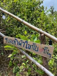One day trip พิชิตยอดเขาหาดทุ่งยาง ⛰️