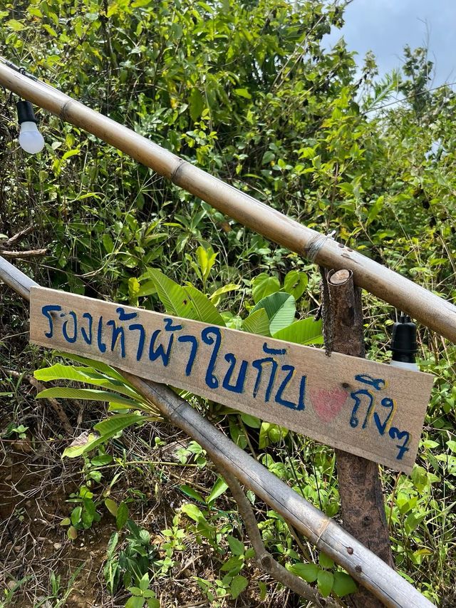 One day trip พิชิตยอดเขาหาดทุ่งยาง ⛰️