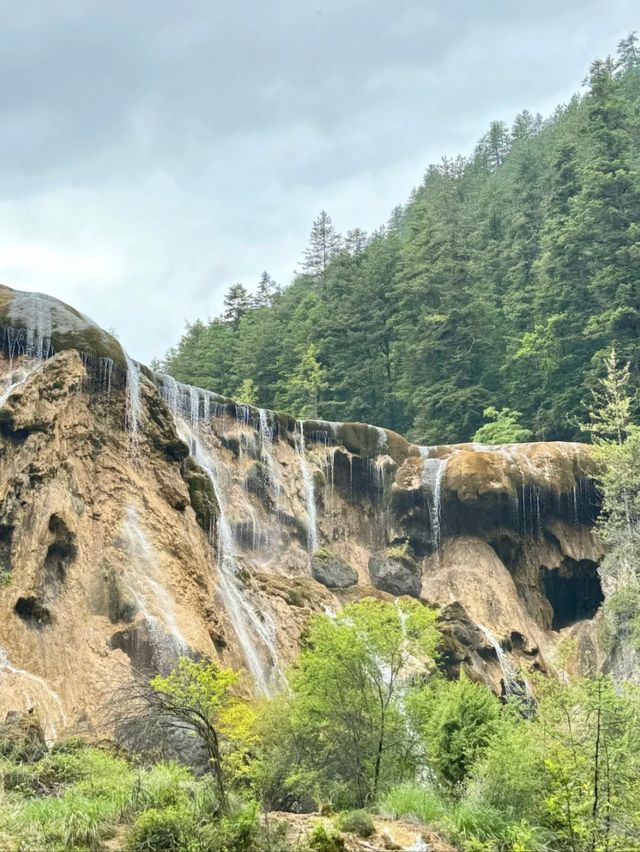 Fall for the Falls: Why Pearl Shoal Is Nature’s Hidden Treasure
