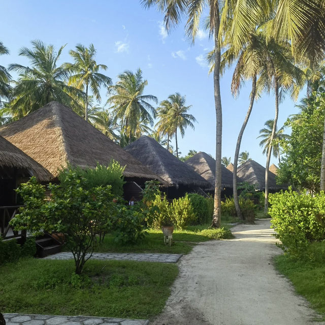 Bandos Maldives – Tropical Island Escape Near Malé Bandos Maldives – Tropical Island Escape Near Malé