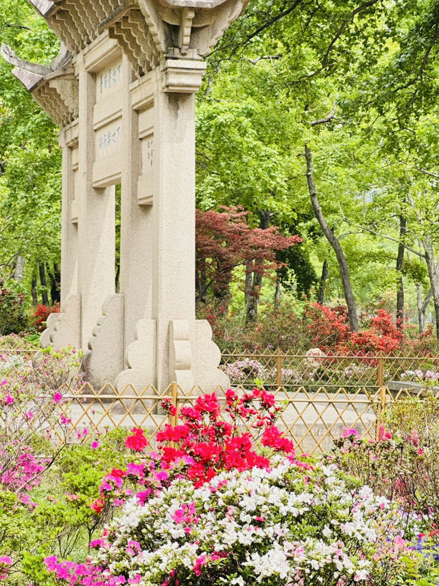 A Hiker's Delight with a Historical Twist A Hiker's Delight with a Historical Twist