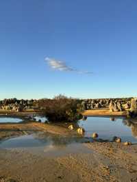 Pinnacles Desert- Out of this world view